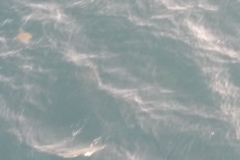 20170612_183052