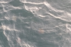 20170612_183150